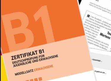 Khoá học đào tạo bằng B1