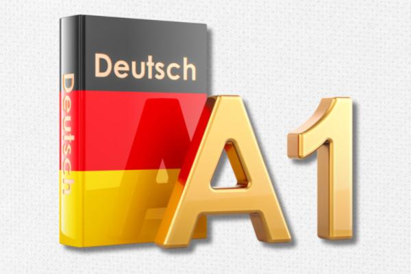 Khoá học đào tạo bằng A1